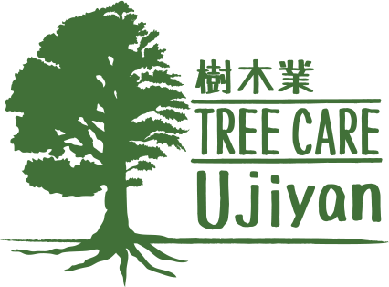 樹木業「Tree Care Ujiyan」アーボリスト（樹護士）・樹木医・ツリークライミング・宇治田直弘