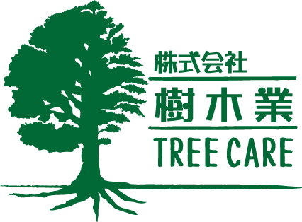株式会社 樹木業「Tree Care Ujiyan」アーボリスト®（樹護士）・樹木医・樹木管理・ツリークライミング・宇治田直弘／長野県伊那市